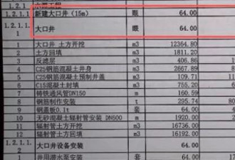 近亿元高标准农田被拆成100个标的非法转包 村民回应
