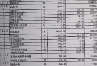 近亿元高标准农田被拆成100个标的非法转包 村民回应