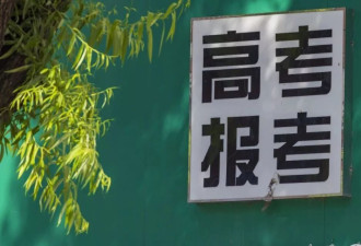 县城批量复制张雪峰，一单志愿几千元