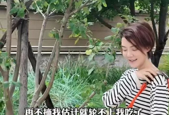 44岁车晓搬离北京别墅，晒新家空间不大家具也不多