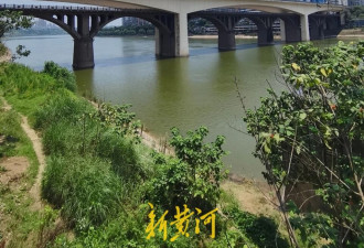 花坛埋尸28年：因商场装修发现遗体 主犯改名整容
