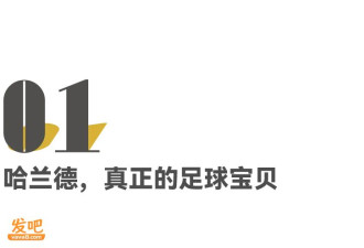 爱上哈兰德算恋丑癖吗?