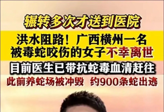洪水里有蛇怎么办? 记住这4点,关键时刻能保命