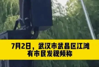 洪水里有蛇怎么办? 记住这4点,关键时刻能保命