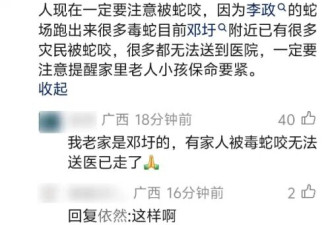 网传广西洪水大批鳄鱼出逃 民警用95开枪击毙?