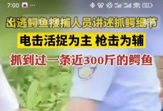 网传广西洪水大批鳄鱼出逃 民警用95开枪击毙?