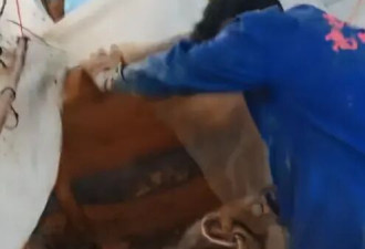 每年20多万人被毒蛇咬伤,用上救命血清的不到两成