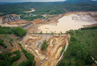广西村民被蛇咬撑了两天后离世,家属:姑姑被咬...