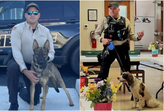 2警犬“锁高温车上7小时”被活活热死