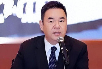 “第二个许家印”也栽了