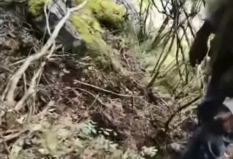 57岁男子在四川康定进山捡菌子，遭熊袭击身亡