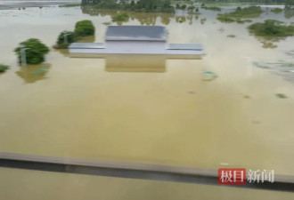 实探广西贵港：大片农田被淹 市区酒店几乎都满房