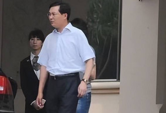 密春雷欠债9亿，原配金晶成赢家，董卿满盘皆输
