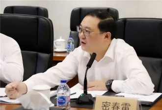 密春雷欠债9亿，原配金晶成赢家，董卿满盘皆输