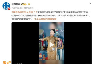 霍思燕的鸟也夺冠! 狗拿完世界杯、鹦鹉夺冠