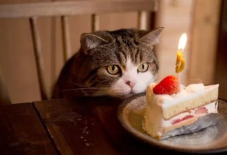 生日快乐啊，较真的小孩儿