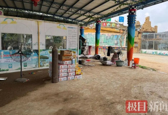 狮子的命也是命，网友质疑动物园锁笼致3狮溺亡