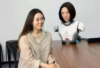 99万的仿生陪伴机器人，泡沫有多大？