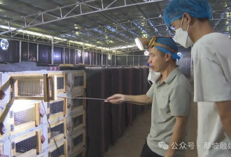 害、利之间：广西洪流之中的蛇与养蛇人