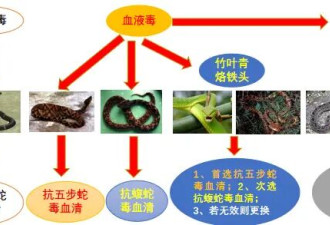 害、利之间：广西洪流之中的蛇与养蛇人