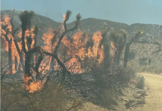 南加Summit Fire迅速扩大 火场吞噬超2600英亩土地！
