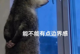 夏天来了，网约车的矛盾又要升级了