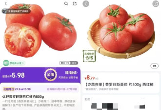 用颗“鸵鸟蛋”，一盘番茄炒蛋就敢卖520？
