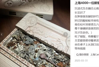 用颗“鸵鸟蛋”，一盘番茄炒蛋就敢卖520？