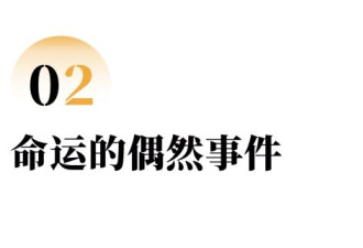 县城高考志愿规划师：我们在和AI争夺家长的信任