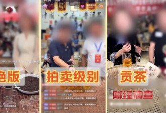 27位茶农20个是演员 半年赚2000万 善心成提款机