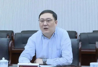 董卿老公 把中信证券坑了！