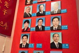 彭丽媛求情？马兴瑞案官方通报暗藏两大细节