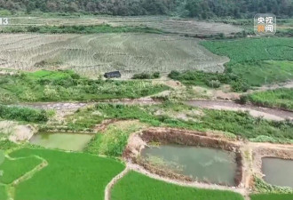 种23万亩水稻上报38万亩 当地官员：只要没抛荒....