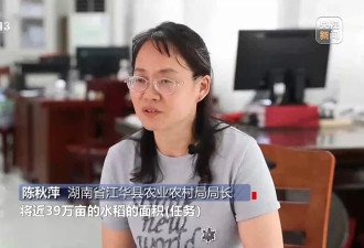 种23万亩水稻上报38万亩 当地官员：只要没抛荒....