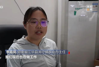 种23万亩水稻上报38万亩 当地官员：只要没抛荒....