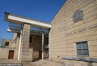 英国47岁男子承认下药妻子，邀请陌生人性侵施暴