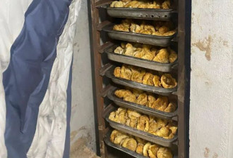 医疗废物还是神奇疗法? 为何有人会走私人类胎盘?