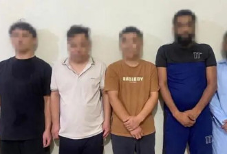医疗废物还是神奇疗法? 为何有人会走私人类胎盘?