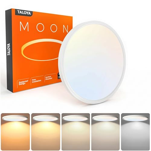 TALOYA 12英寸 LED 吸顶灯