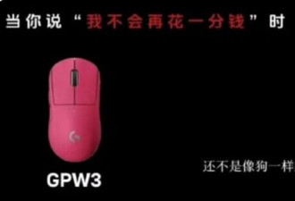 “像狗一样跑过来” 罗技中国涉辱遭罚20万