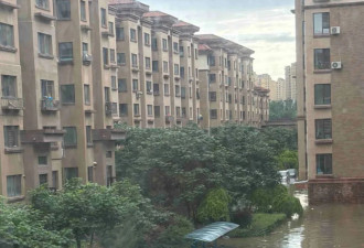 从城市到村庄，暴雨侵袭下的东北民间细节
