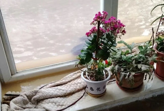 从城市到村庄，暴雨侵袭下的东北民间细节