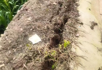 从城市到村庄，暴雨侵袭下的东北民间细节
