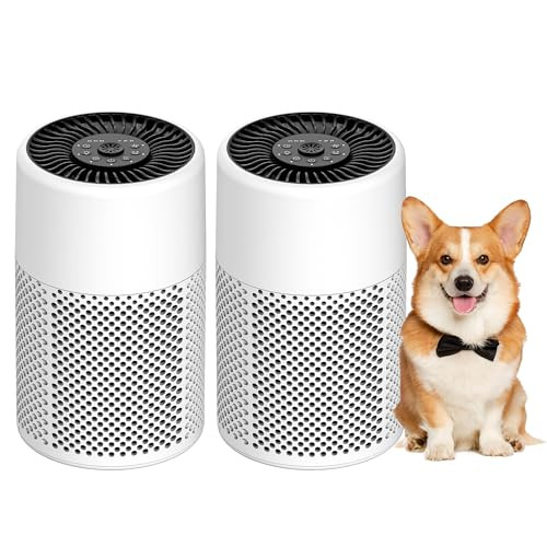 CHIVALZ 空气净化器 2 Pack