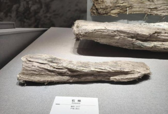 被欧美60多个国家禁用 中国却仍在大量使用