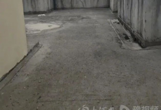 广西双胞胎姐妹遭妹妹男友入室伤害致1死1伤