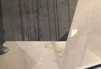 学霸教授多刀斩死亲戚 警员开4枪制伏 显赫背景曝
