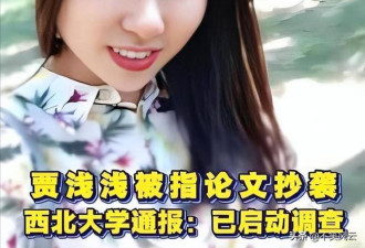 贾浅浅再迎两大噩耗，父亲贾平凹的老底也被扒