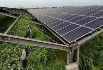 中国陷入光电陷阱？农民怒骂光伏骗局
