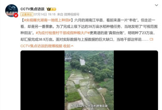 终于有一天，《焦点访谈》变成掀翻老百姓粥锅的人